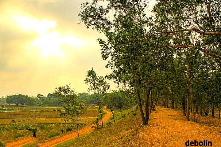 BOLPUR FIELD