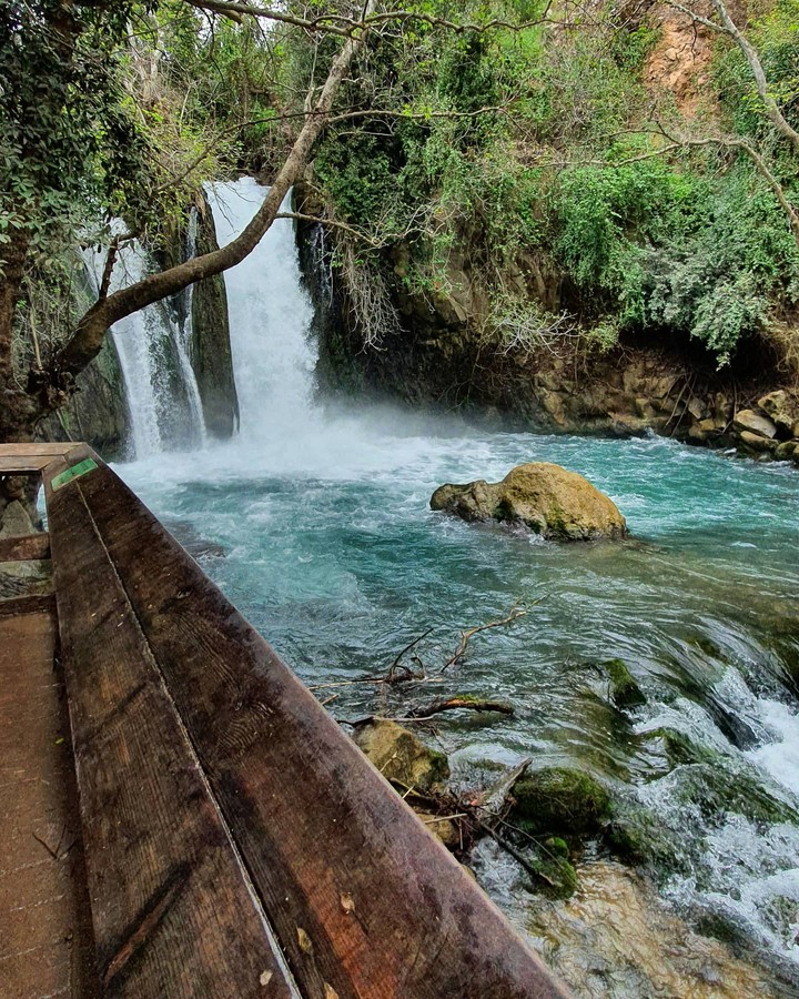 Banias Falls
