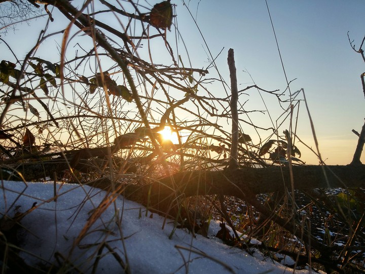dawn