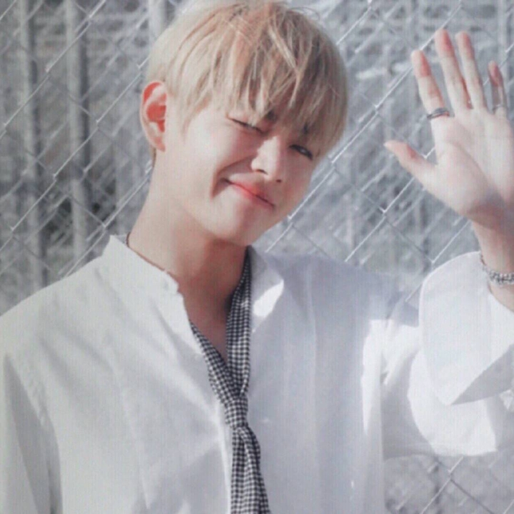 V from BTS