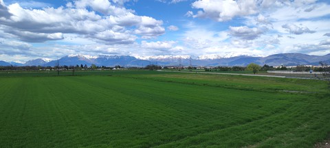 fonds d'écran horizon, Cumulus