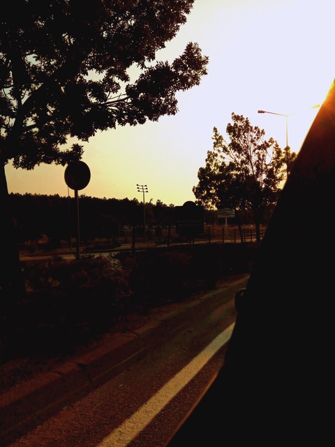 branch, asphalt háttérképek