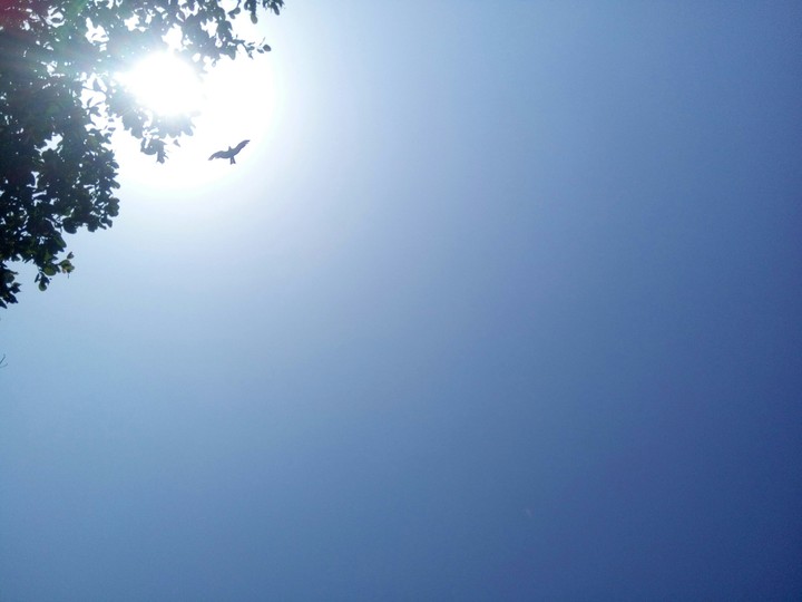 my pic with another side of photography