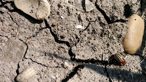 Running away