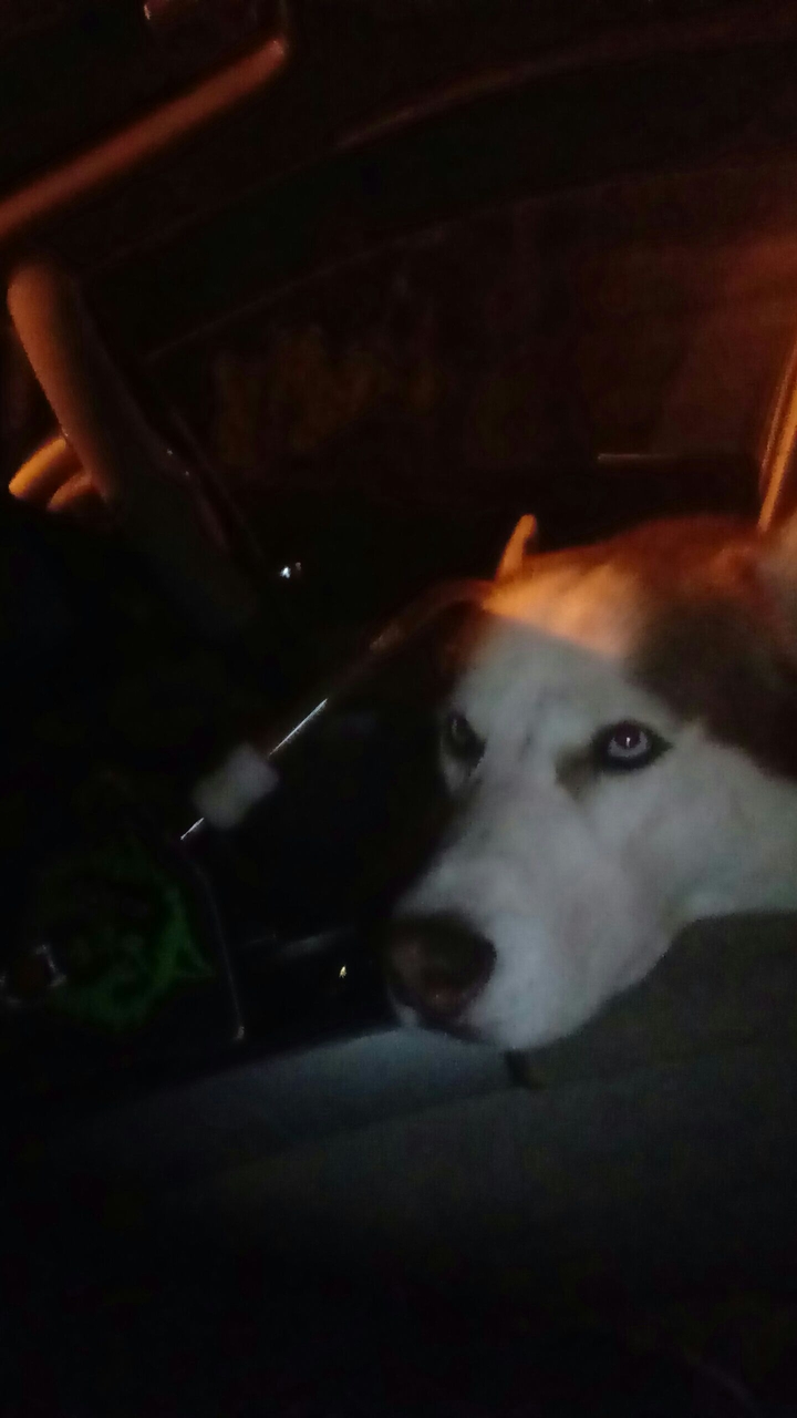 yo