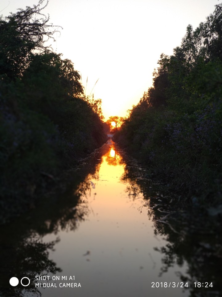 Sunset Time
