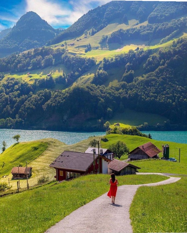 Beautiful landscape