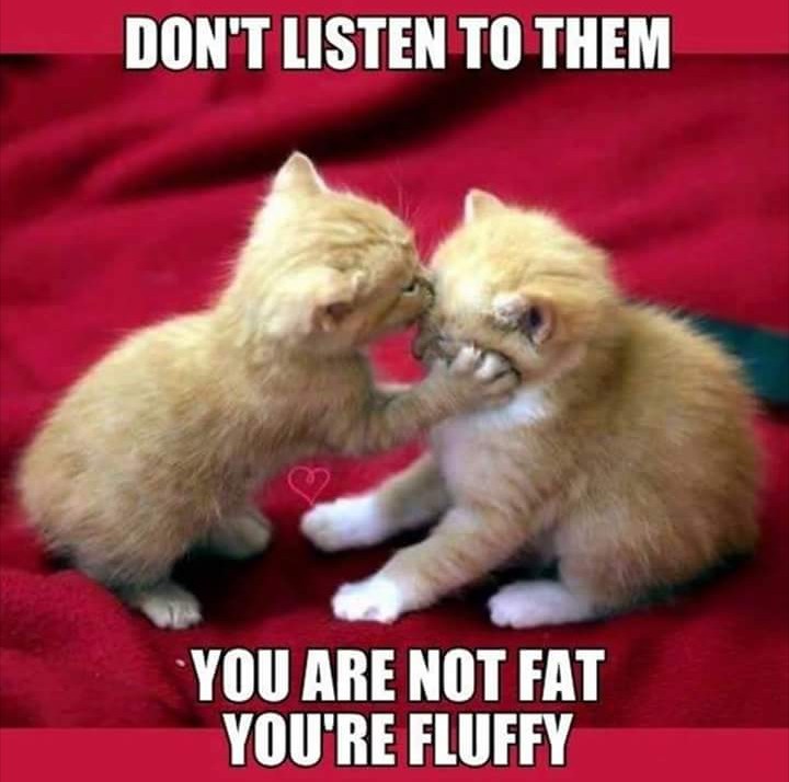 I am Motivated...