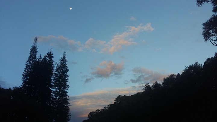 Moon