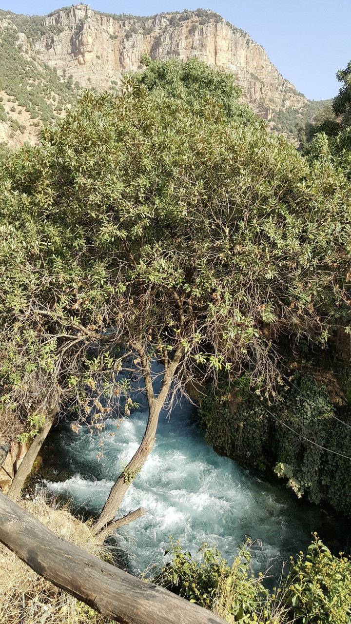 nature