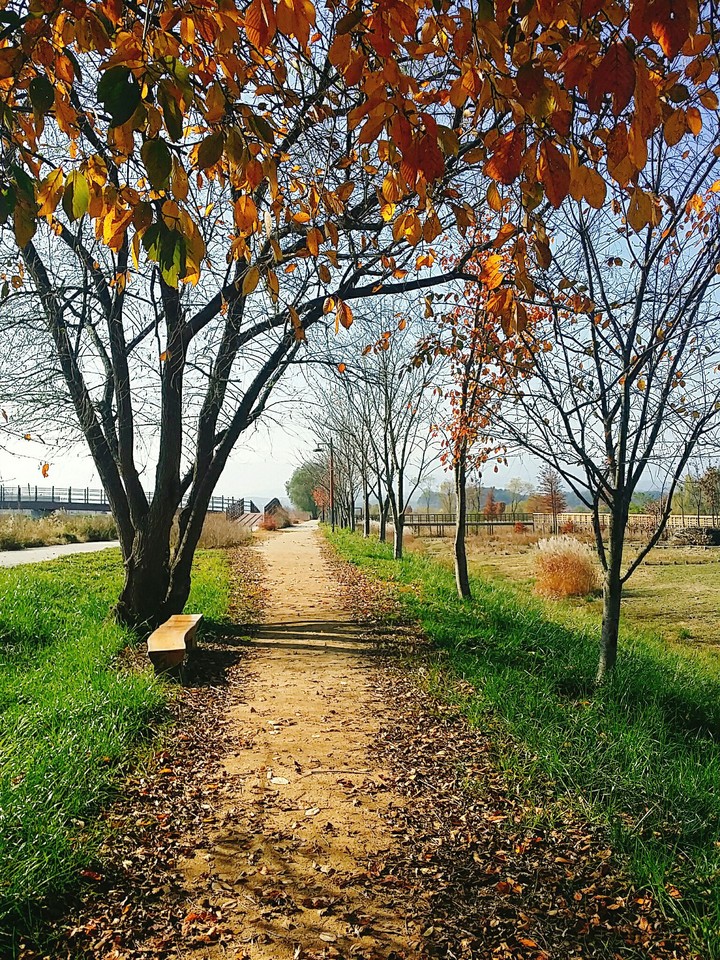street