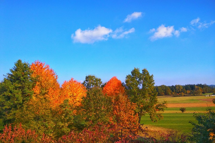 Herbst in Österreich/fall in austria ♥