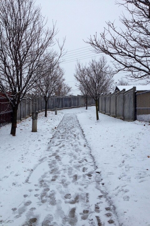 Seasons Series #2: The coming of Winter