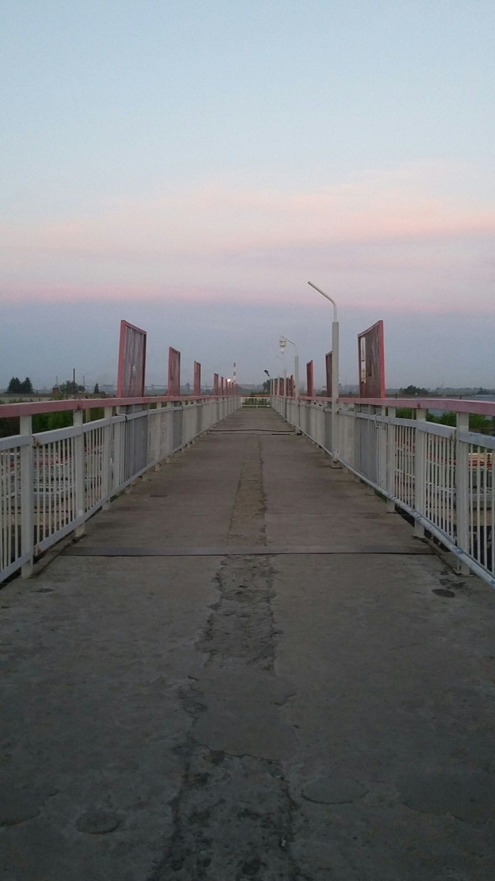 summer in Zarinsk