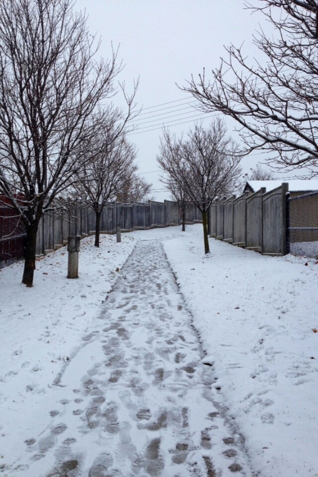 Seasons Series #2: The coming of Winter