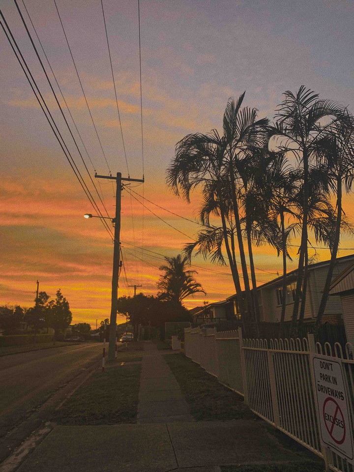 the sunset blvd