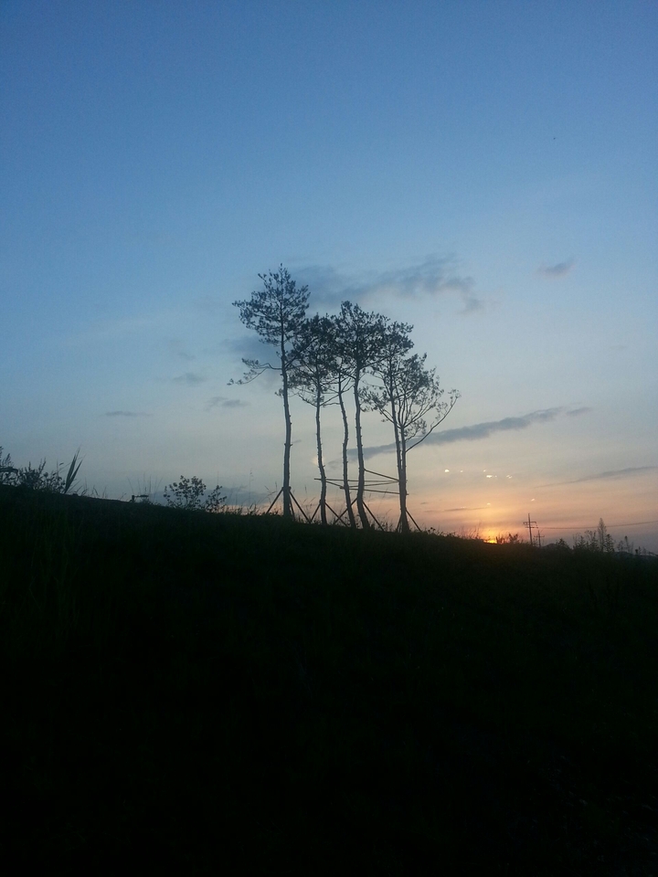 towards dark