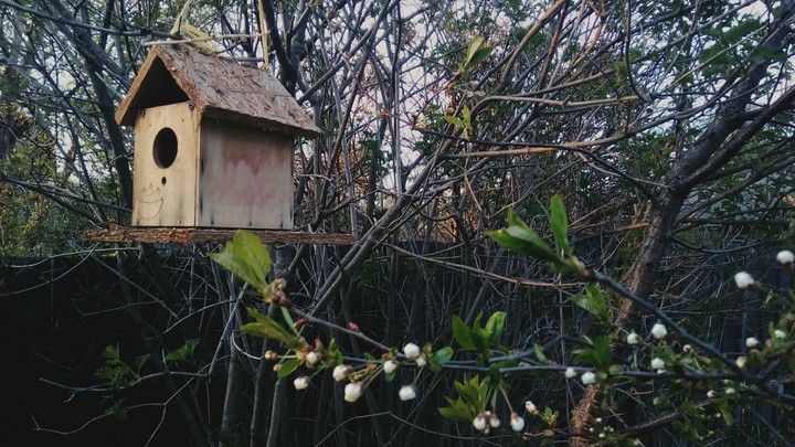 nesting box·