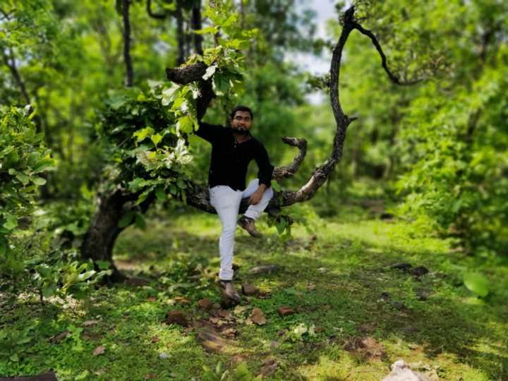 jungle