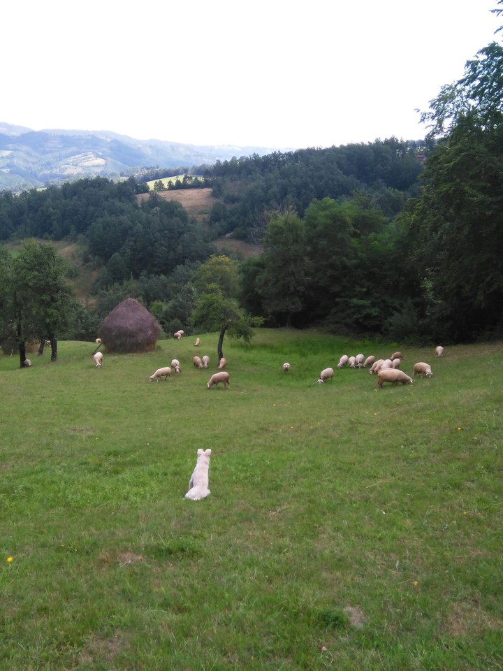 Zivot na selu