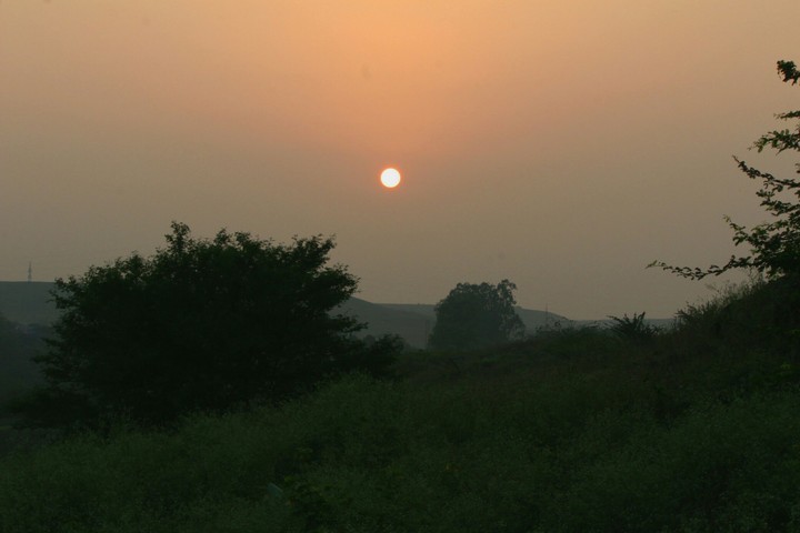 indian color