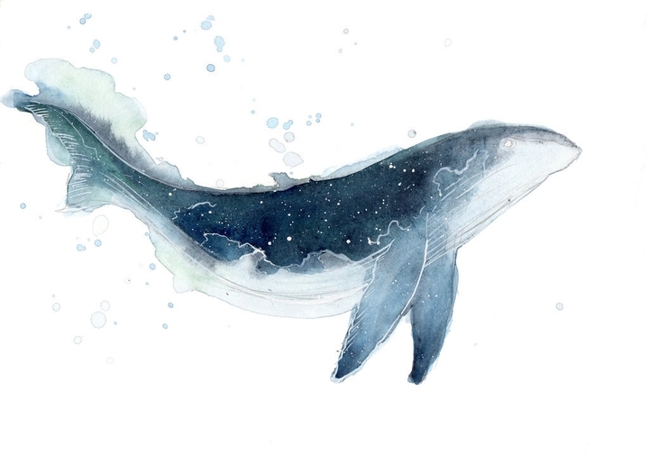 whale
