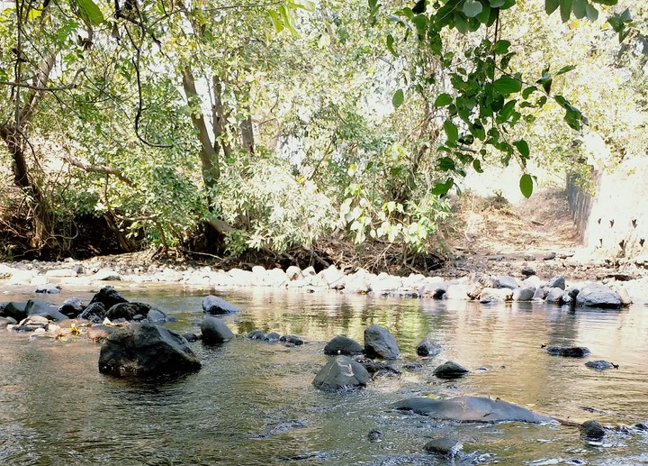Noon at river