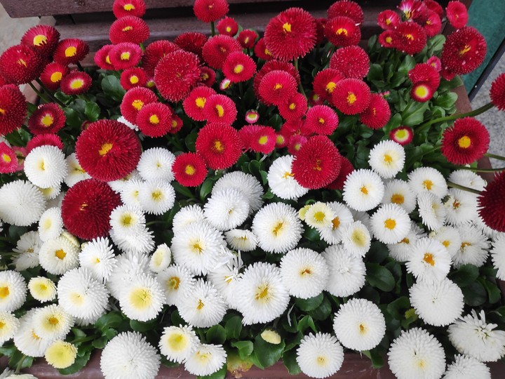 예뽀~