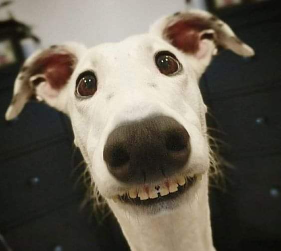 КРАСИВО ИЗ ЖИЗНИ