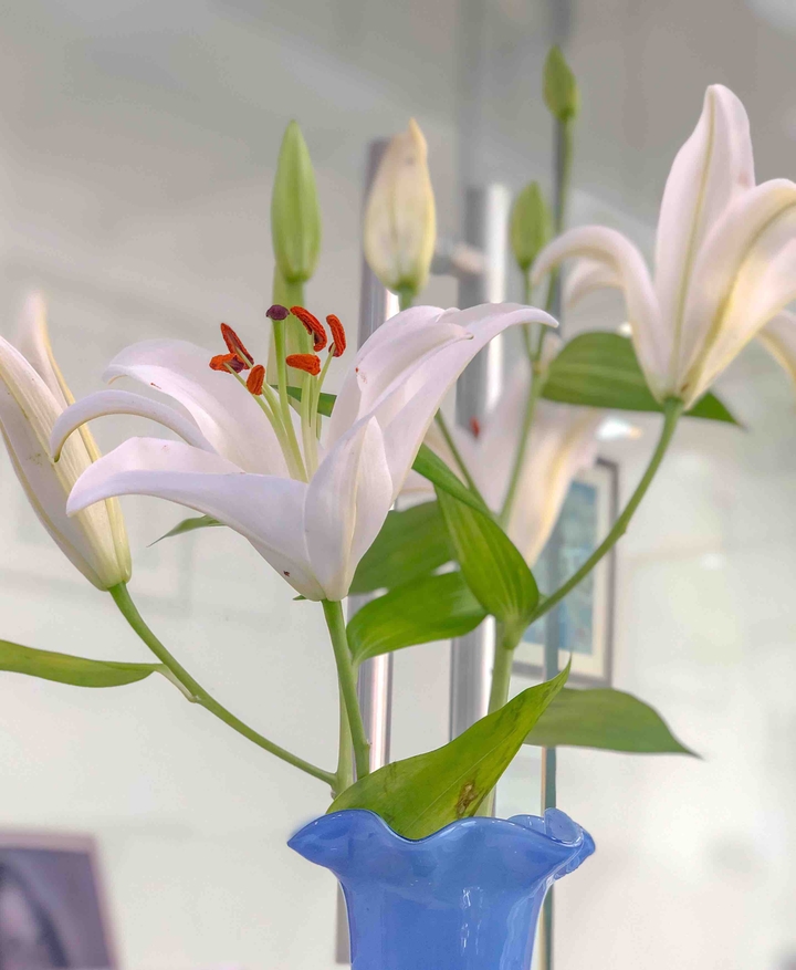 happy flower
