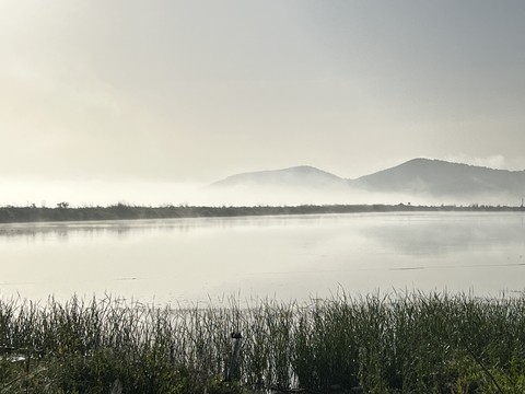 grass, landscapes壁纸