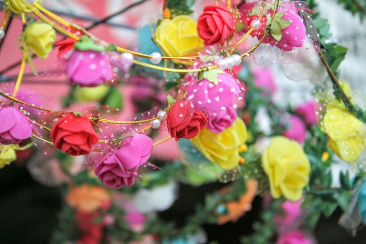 flower
