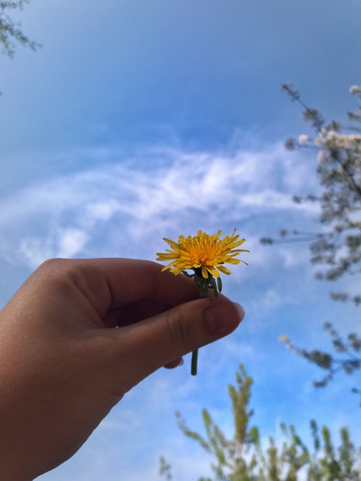 beautiful
