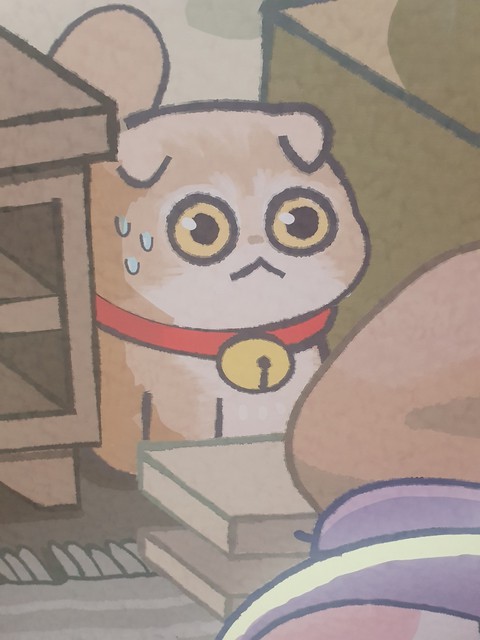 고양이