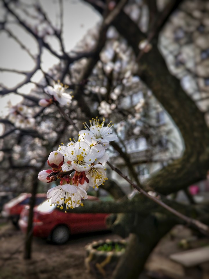 весна лучшее время года