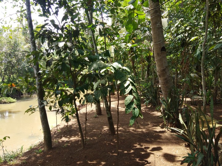 River Side