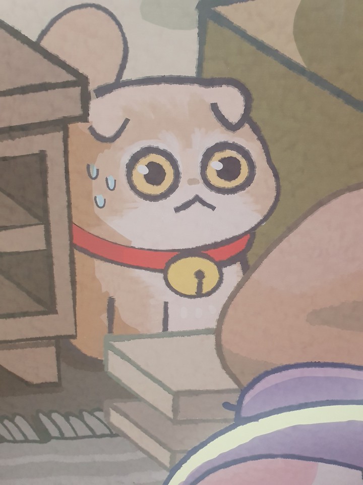 고양이