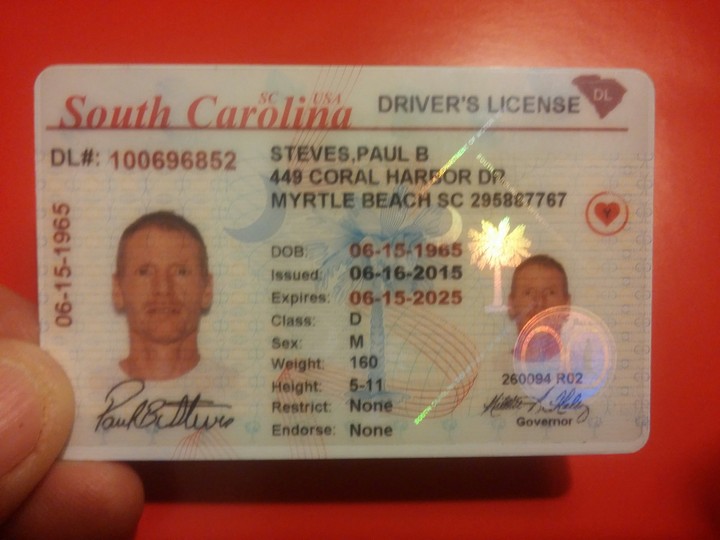 drivers licence