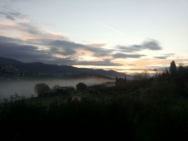 Alba