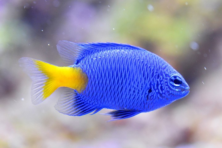 love that colour!