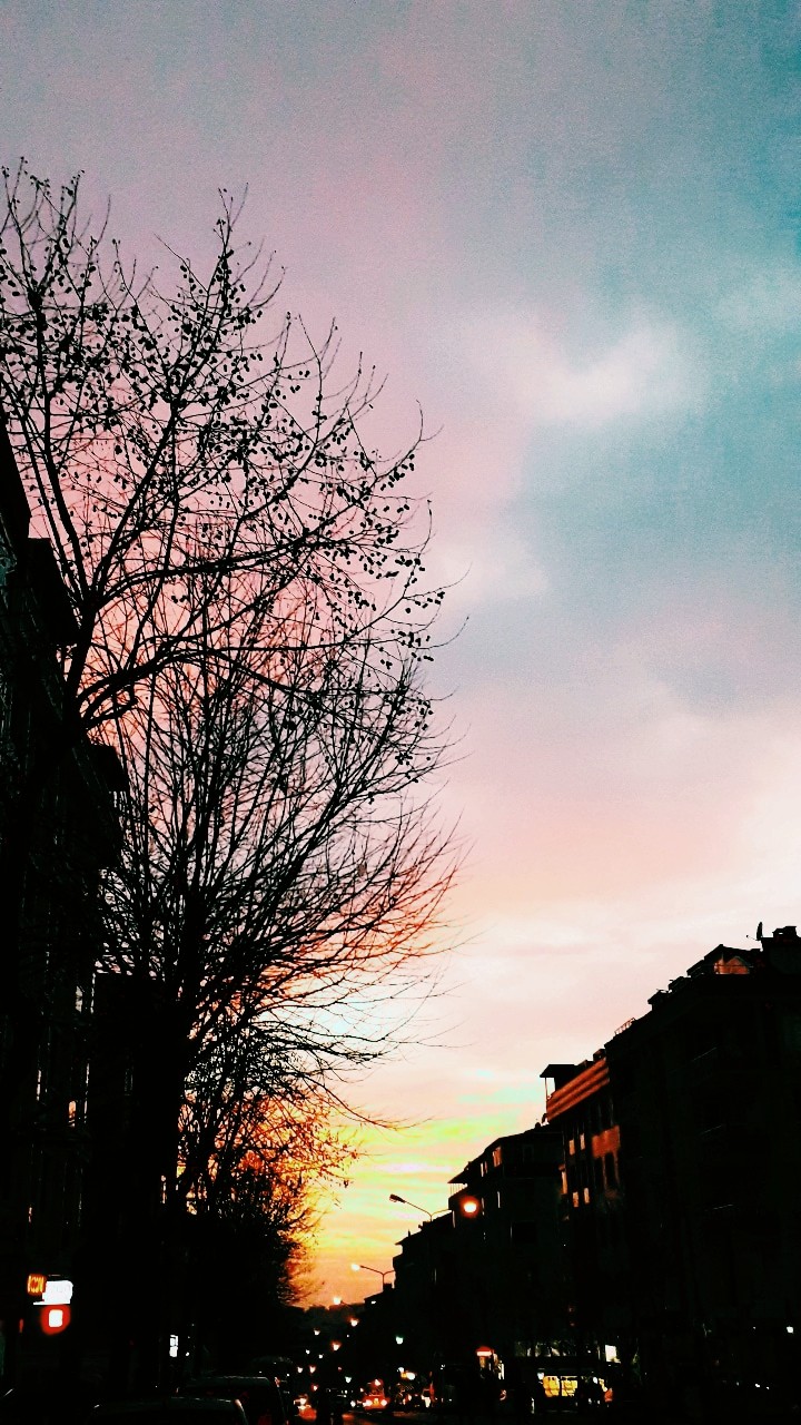 Siliet