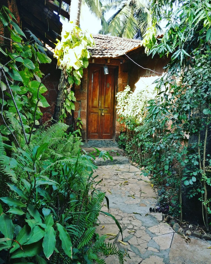 doorway to the jungle