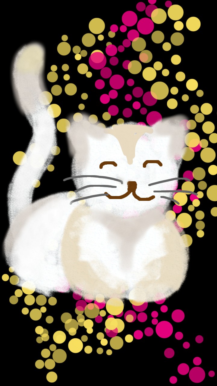 Gato Sorridente (Smiley Cat)