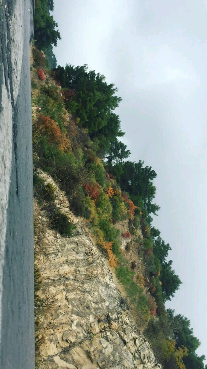 green road