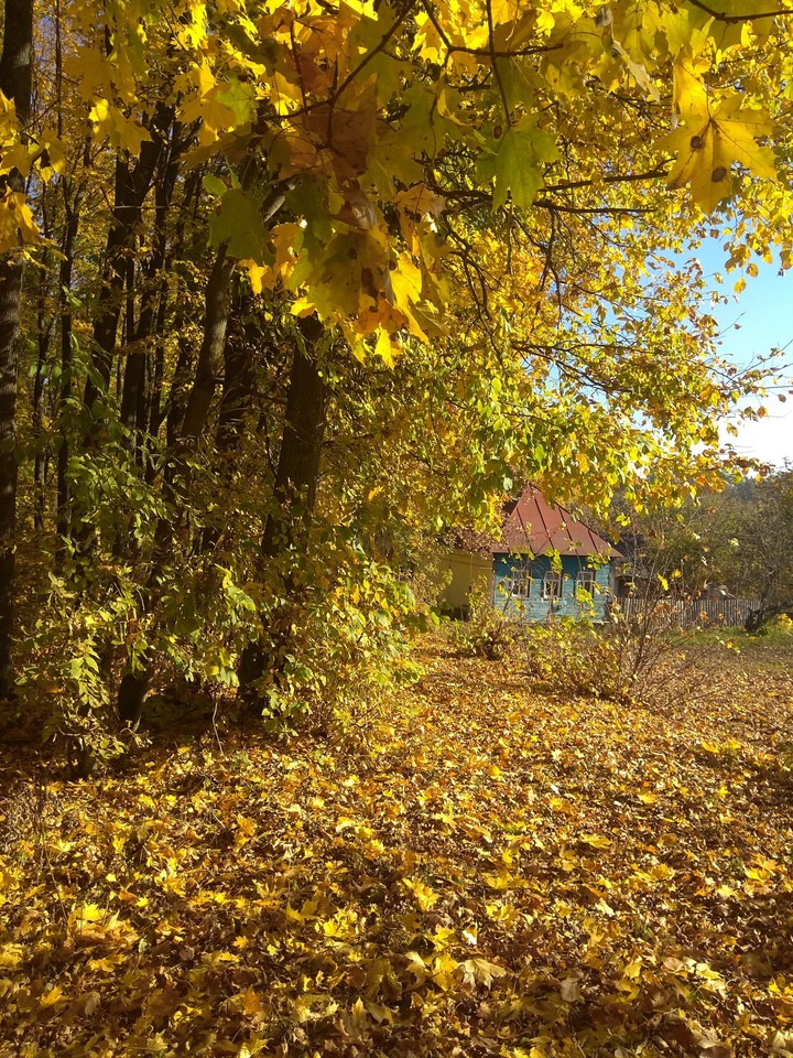 Autumn