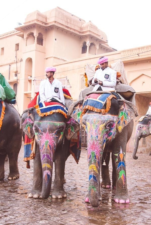 Rajasthan , India