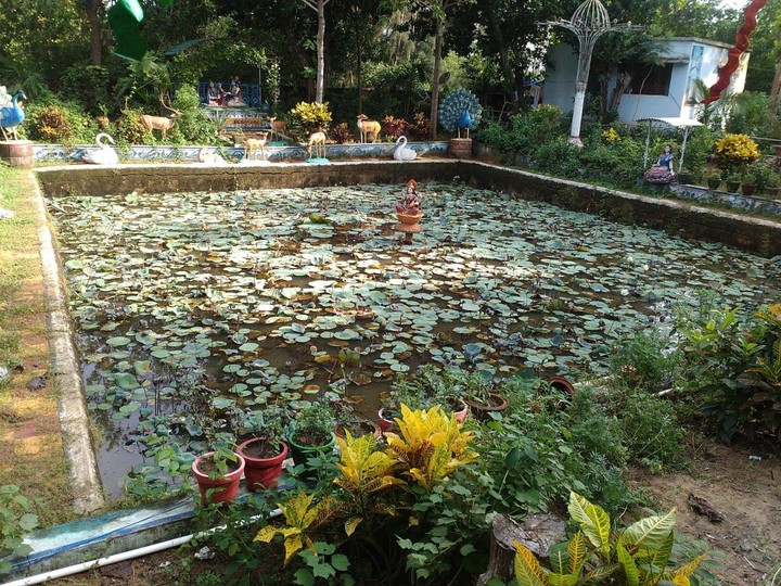 Little Pond of Puri Temple
