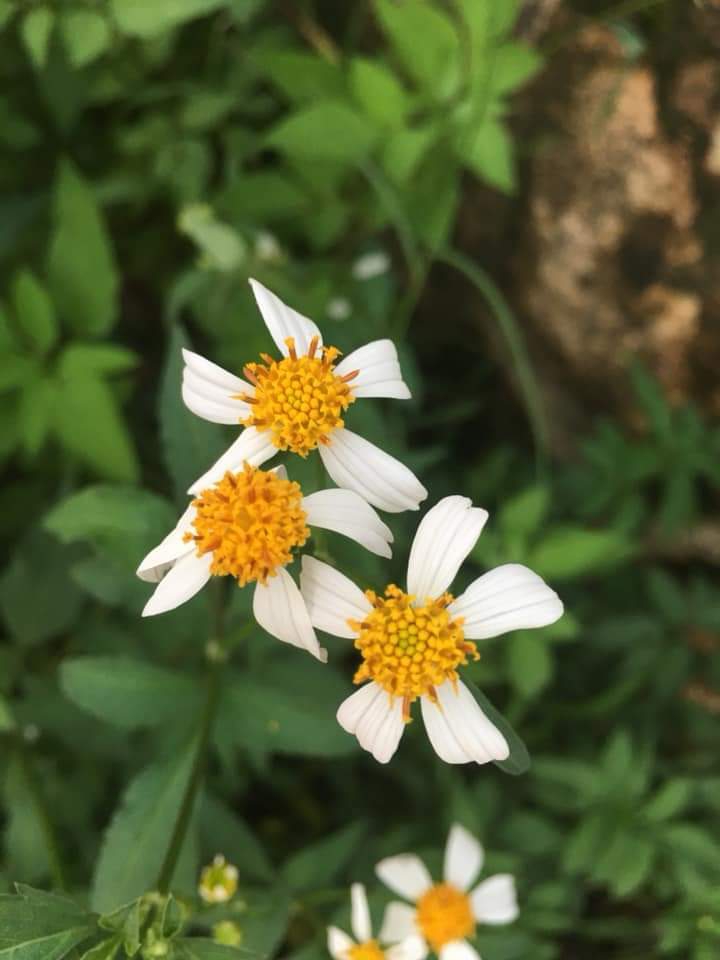 ღ✿◠‿◠✿ღ