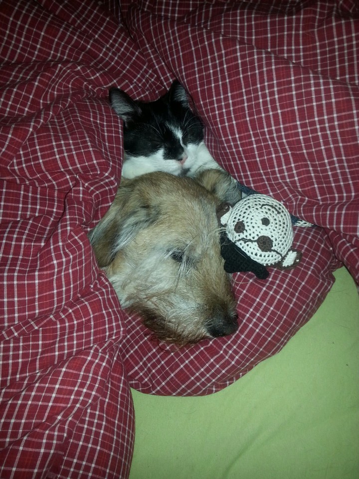 sleeping floyd and lucie