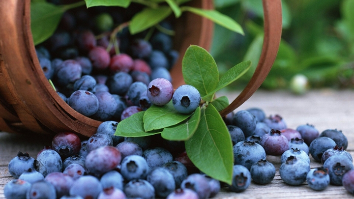 Berry